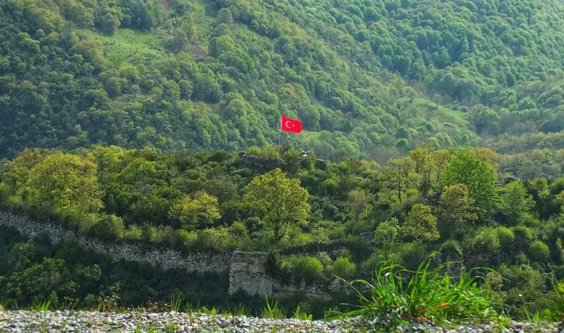 Alacaoluk Kalesi’nin en önemli