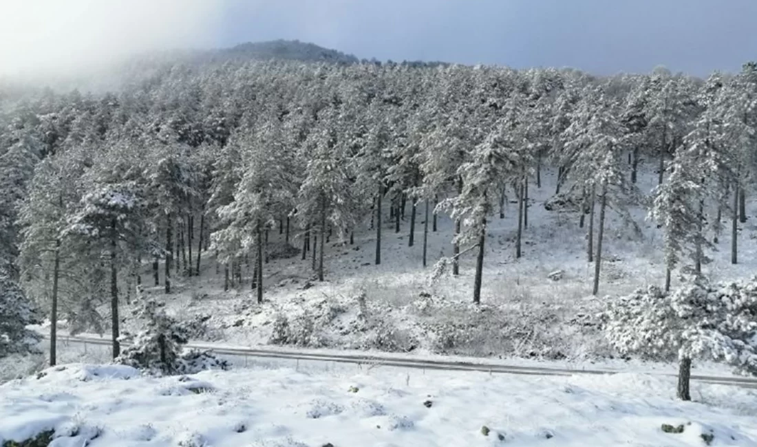 Ulus Dağı Bu bölgede, Bursa’da bulunan