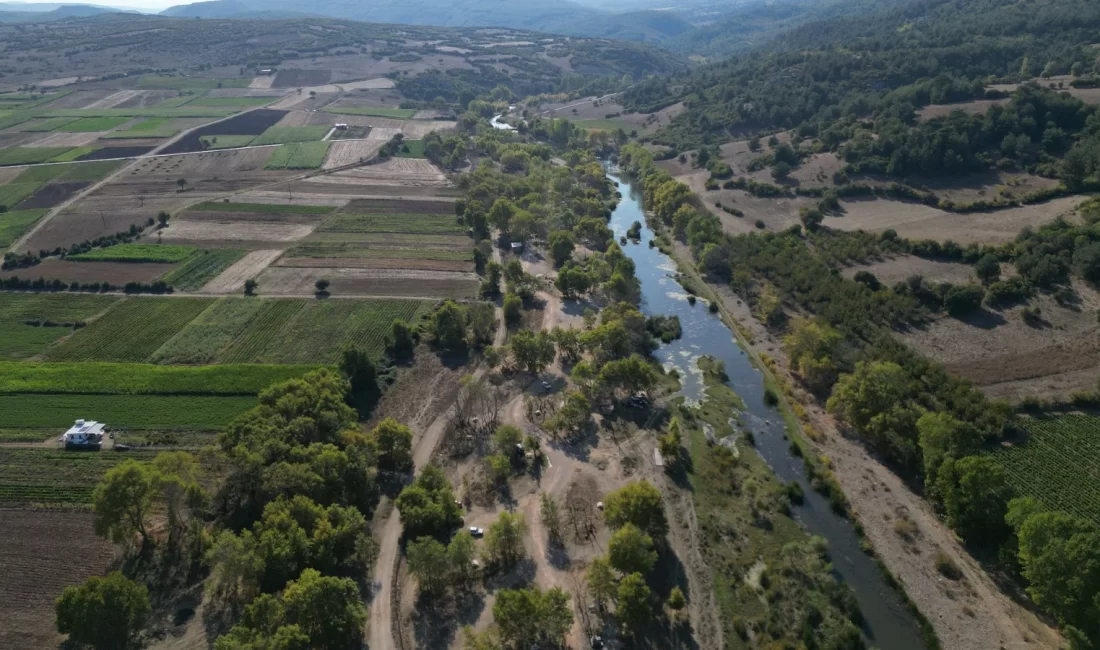 Kocaavşar Mahallesi’nde, yerleşim yerine