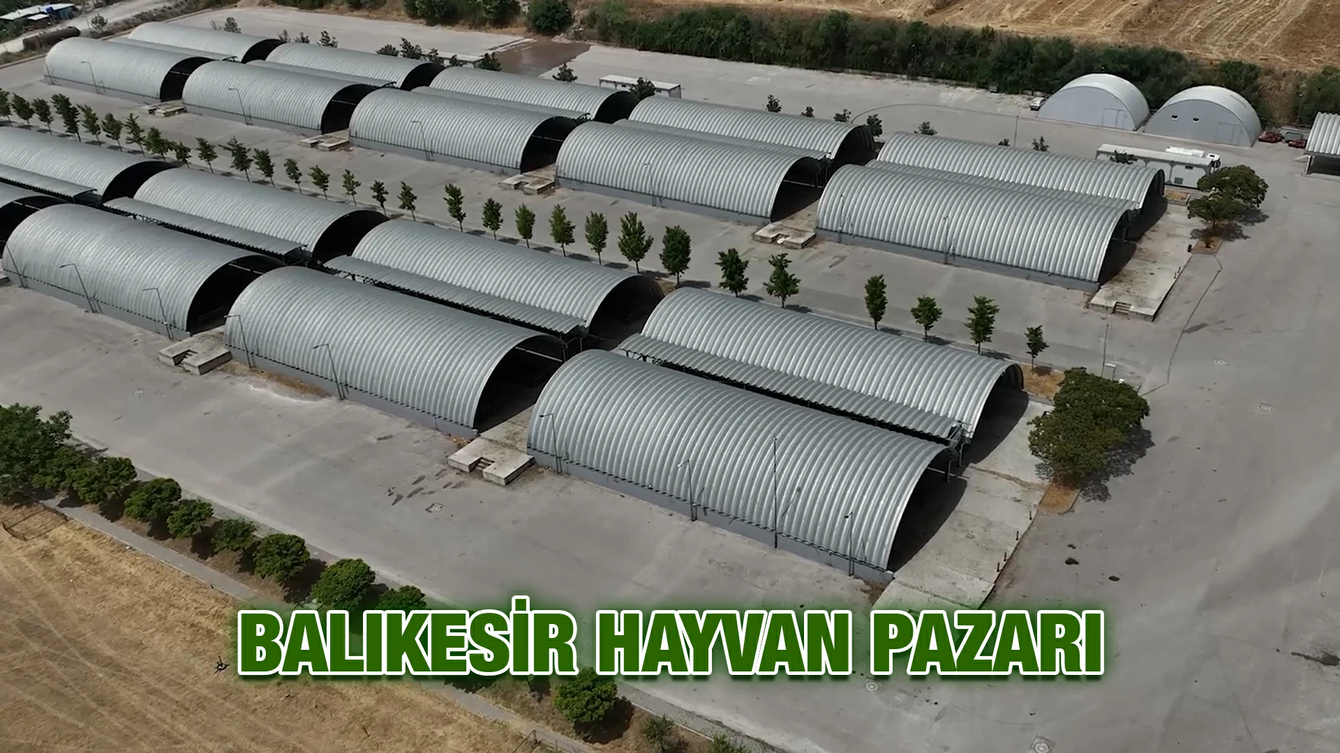 Balıkesir Hayvan Pazarı