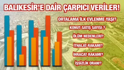 Ortalama evlenme yaşı... motorlu taşıt