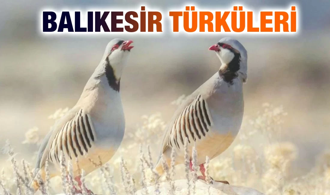 Balıkesir Türküleri