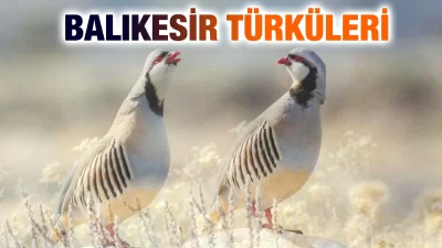 Balıkesir Türküleri